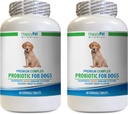 Dog probiotic for Bad Breath - Dog Premium PROBIOTICS - Savory Beef Flavor - Stops Diarrhea Bad Gas Bad Breath - Gut Health - Dog Digestive enzymes - 2 Bottles (120 Treats)