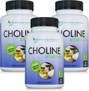 DOCTOR RECOMMENDED SUPPLEMENTS Premium Choline - 500 mg - 120 Veggie Capsules Supports Cognitive Health, Memory & More - 3 Pack