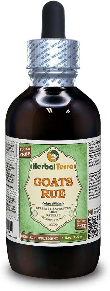 Goat's Rue (Galega officinalis) Glycerite, Organic Dried Herb Alcohol-Free Liquid Extract (Brand Name: HerbalTerra, Proudly Made in USA) 4 fl.oz (120 ml)