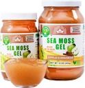Wildcrafted Irish Sea Moss Gel | Made in USA | Rich in Vitamins & Minerals | Sea Moss Gel Raw | Nutritional Supplement | Apple (16 oz)