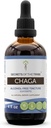 Secrets of the Tribe Chaga Tincture Alcohol-Free Extract, Wildcrafted Chaga (Inonotus obliquus) Dried Whole Mushroom (4 FL OZ)