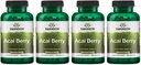 Swanson Acai Berry Antioxidant Support 500 Milligrams 120 Capsules (4 Pack)
