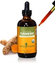 Herb Pharm Certified Organic Turmeric Root Liquid Extract for Musculoskeletal System Support - 4 oz