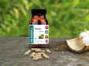 DR WAKDE'S Trivrit Capsules (Nishottar, 60 Veg Caps, Plant-Based Supplement, Ayurvedic Herb, All Natural, Vegan)