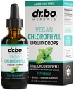 Chlorophyll Liquid Drops Body Detox - Vegan Liquid Chlorophyll Drops Odor Cleanse Supplement, Energy & Immune Support, Internal Deodorant, Body Deodorizing Supplement - Natural Deodorant Water 2 oz