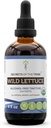 Secrets of the Tribe Wild Lettuce Tincture Alcohol-Free Extract, USDA Organic Wild Lettuce (Lactuca virosa) Dried Herb (4 FL OZ)