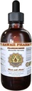 Frankincense Liquid Extract, Frankincense (Boswellia Serrata) Resin Powder Tincture Supplement 2 oz
