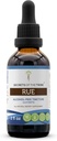 Secrets of the Tribe Rue Alcohol-Free Liquid Extract, Rue (Ruta graveolens) Dried Herb Tincture Supplement (2 FL OZ)