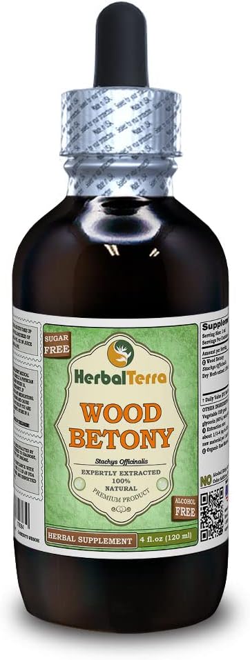 Wood Betony (Stachys Officinalis) Glycerite, Organic Dried Herb Alcohol-FREE Liquid Extract (Brand name: HerbalTerra, Proudly made in USA) 4 fl.oz (120 ml)