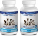 dog urinary incontinence - DOG URINARY TRACT SUPPORT - NATURAL CRANBERRY SOLUTION - BLADDER HEALTH - VET RECOMMENDED - organic cranberry extract for dogs - 2 Bottle (180 Treats)