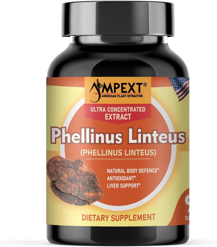 Phellinus linteus Mushroom Extract - Premium Quality, Only Fruiting Bodies, Antioxidant, Immunity Booster, Liver Support, 90 Veg Caps.