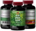 Blue Green Algae Superfood - Blue Green Algae - Blue Green Algae for Immunity - Klamath Shores Blue Green Algae, Digestion Supplement, Immune Support Supplement, Blue Green Algae Powder, 1b 60 Caps