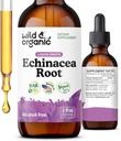 Wild & Organic Echinacea Tincture - Immune Support Drops with Liquid Echinacea Root Extract - Angustifolia Supplements - Vegan, Sugar & Alcohol-Free - 2 fl oz