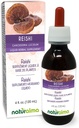 Naturalma Reishi (Ganoderma lucidum) Fungus or Mushroom Alcohol-Free Tincture - 4 fl oz Liquid Extract in Drops - Herbal Supplement - Vegan