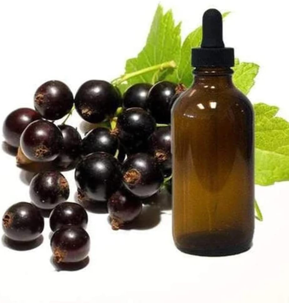 Black Currant Seed Oil 8oz Glass Bottle