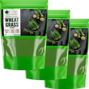Bliss of Earth Organic Wheatgrass Powder Super Food Dietary Supplement 3X 250 gm