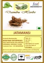 Dambu Herbs - JATAMANSI 100 Gm Nardostachys Jatamansi