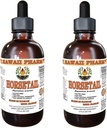 Horsetail Liquid Extract, Organic Horsetail (Equisetum arvense) Tincture Supplement 2x2 oz