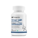 Trexgenics GINGER (Bioactive 5% Gingerol) 550 mg Standardized for Digestive Health, Immunity, Metabolic Profile, Immunity Support (60 Vcaps) (1)