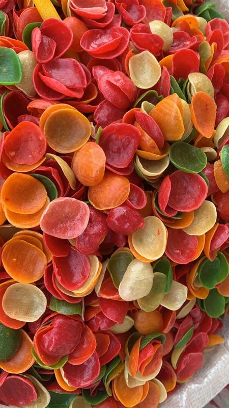 NATURE CONNECT Ready-to-Fry Rainbow Bliss: Curvy Fryums for Instant Snacking 250g