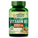 Vlado's Himalayan Organics Plant-Based Vitamin B1 1700Mg Supplement For Men and Women| Rich in Antioxidants | Supports Memory And Energy (120 Capsules)