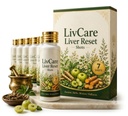 LivCare Liver Reset Shots | Herbal Daily Wellness Liquid | Botanical Wellness Shot | Easy-to-Drink Formula | Daily Lifestyle Support | Convenient Herbal Wellness Drink for Adults