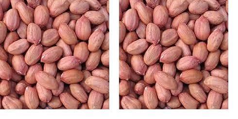 Nutwiz Peanut Raw 600 Grams (200 Grams X 3) High Protein Kacchi Moongfali For Weight Loss,Diet Plans,And Healthy Indian Meals|Singdana Best For Chutney,Poha,Chaat & Ghar Ka Khana (Pack of 2)