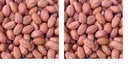 Nutwiz Peanut Raw 600 Grams (200 Grams X 3) High Protein Kacchi Moongfali For Weight Loss,Diet Plans,And Healthy Indian Meals|Singdana Best For Chutney,Poha,Chaat & Ghar Ka Khana (Pack of 2)