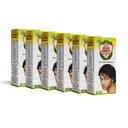 I Action Kesh Amrit Ganjnashk Oil I Legacy of Ayurveda I Ayurvedic Medicine I GMP Certified Company I 100 ML (Pack of 6)