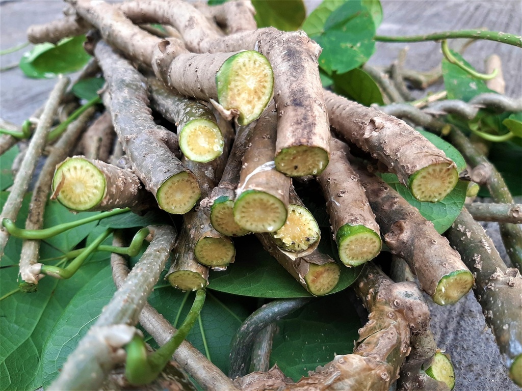 Farmfresh Giloy Sticks/Stems (Giloy Sticks/Stems, 300 G) by Grandmother's recipe.