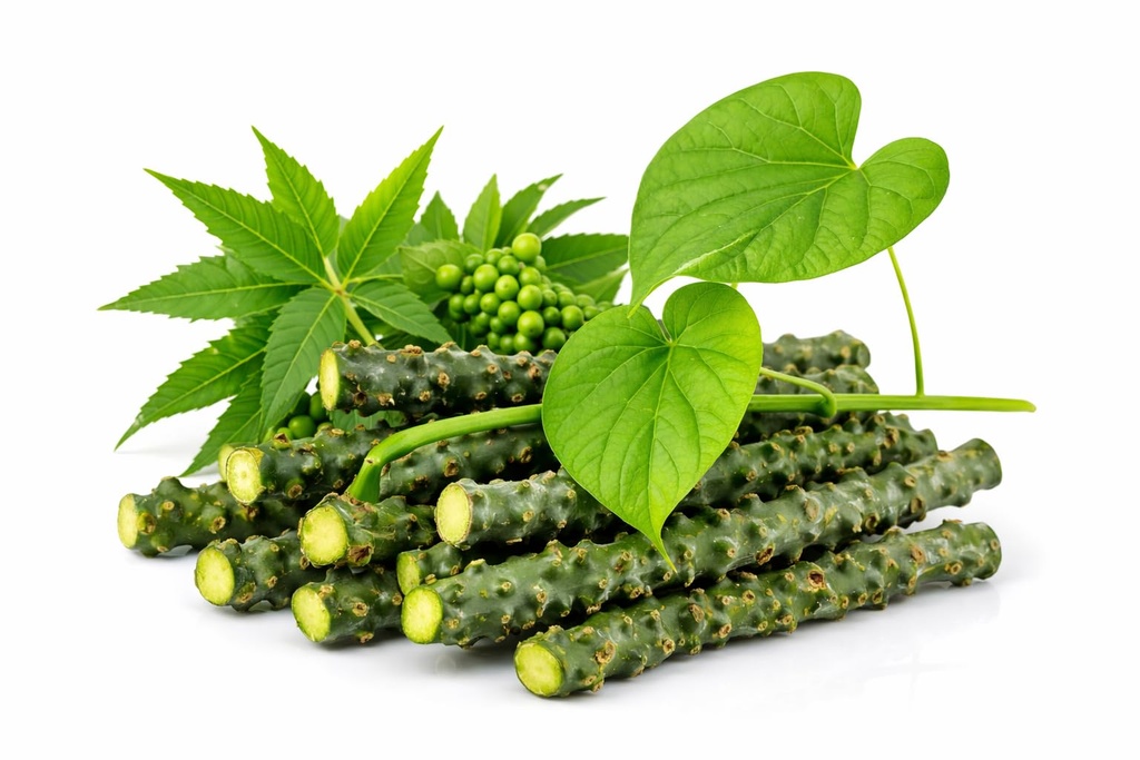 Neem Giloy Stick/Stem/Giloi Bel | A1 Quality Guruch/Gulvel/Guduchi stems/Gudhi Stick for Natural Immunity Booster | Improve Digestion | Fresh & Handpicked | 6-inch, 15 pieces