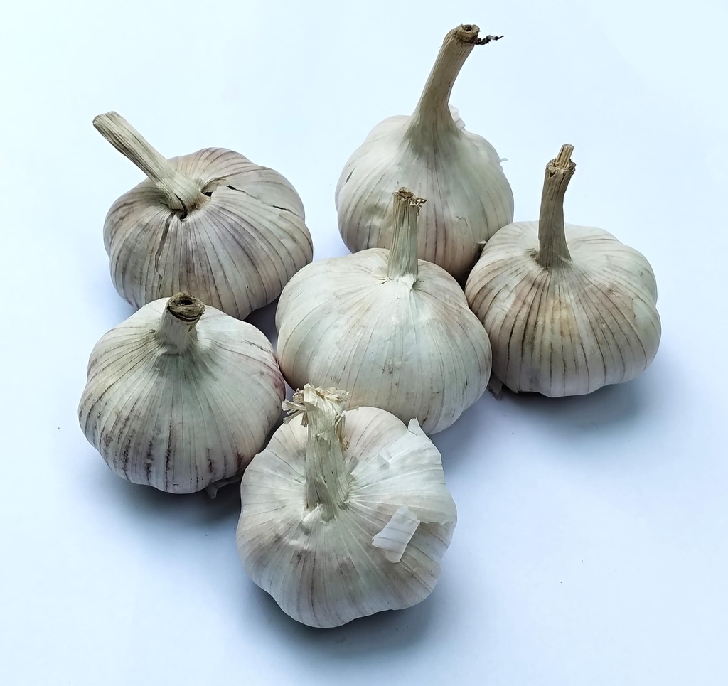 CooPany® Kodaikanal Natural Mountain Garlic/Kodaikanal Malai Poondu 250 Grams