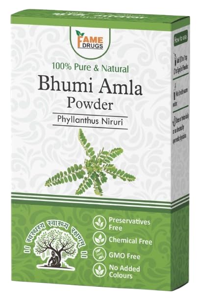 Bhumi Amla Powder - Rich in Antioxidant Vitamin C - Supports Healthy Immune Function - Herbal Supplement - Powder Form - 100Gm (Pack of 1)