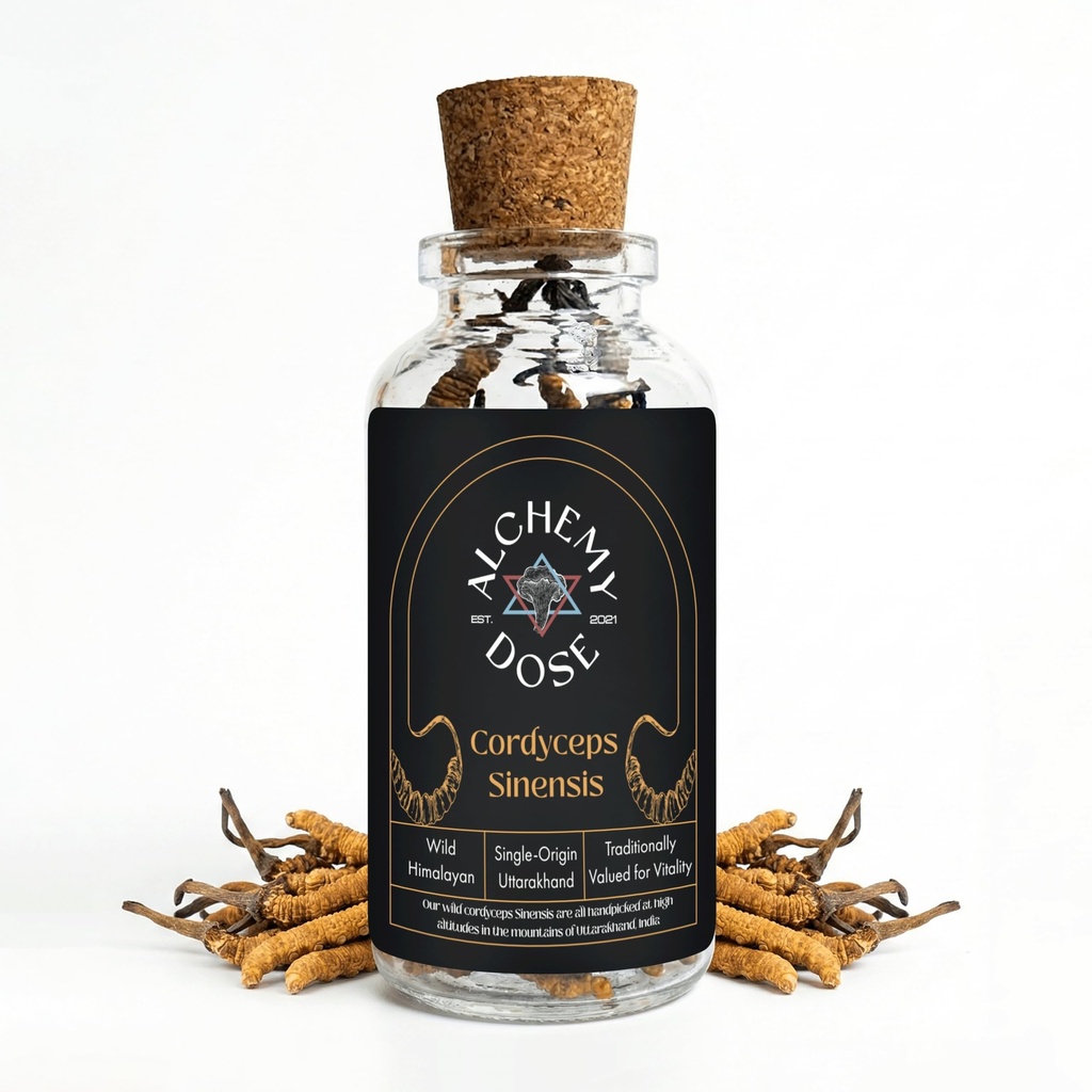 Alchemy Dose Keeda Jadi Original Yarsagumba Cordyceps Classic 1 g