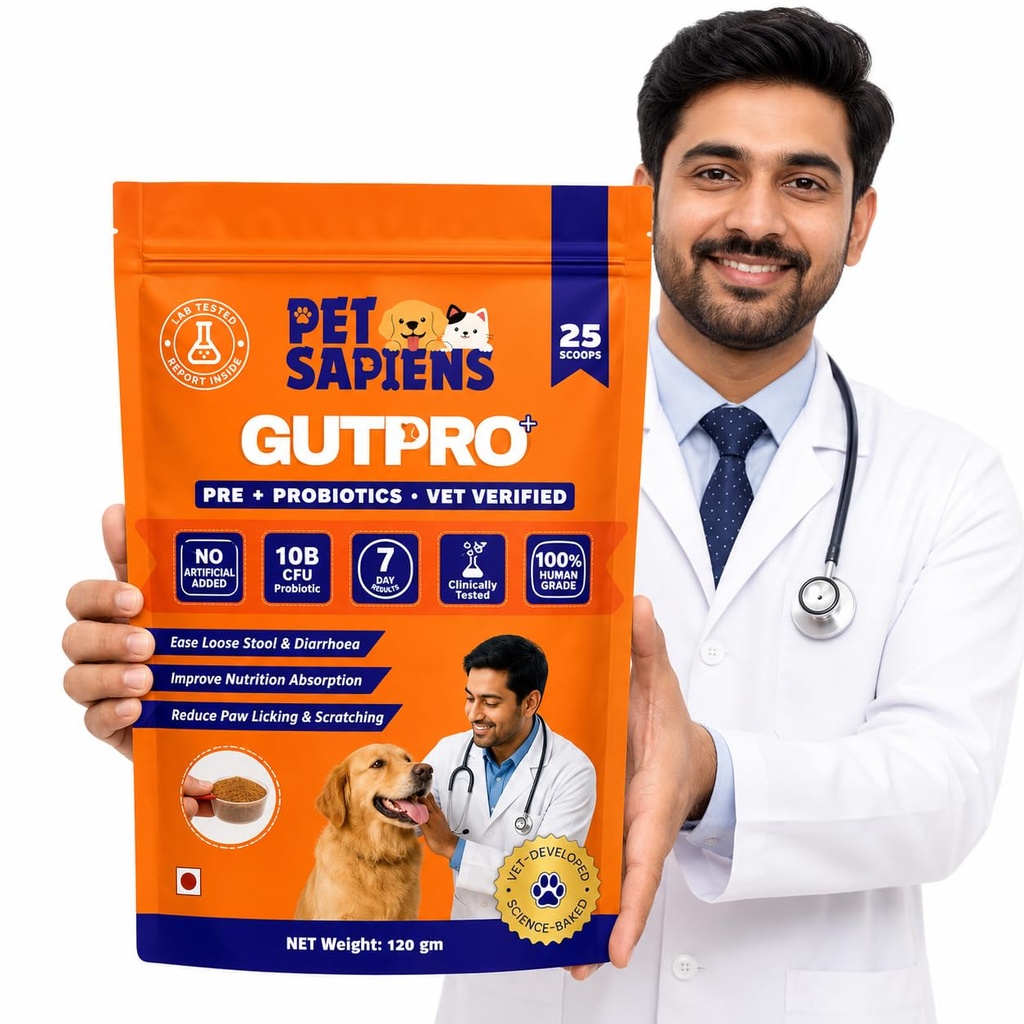 PETSAPIENS Pre + Probiotic Supplement(120gm) Gluten Free | 10B CFU | Boosts Gut Health & Immunity | Vet Formulated - Prevents Scratching, Paw-Licking and Indigestion, Chicken Flavour