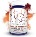 Nootropics Depot Tribulus Extract Capsules | 500mg | 20% Protodioscin | Tribulus terrestris | Fitness, Mood, & Vitality | 60 Count