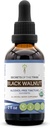 Secrets of the Tribe Black Walnut USDA Organic | Alcohol-Free Extract, High-Potency Herbal Drops | Made from 100% Certified Organic Black Walnut (Juglans Nigra) Dried Hull 2 oz