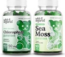 Wild & Organic Chlorophyll Gummies & Sea Moss Gummies