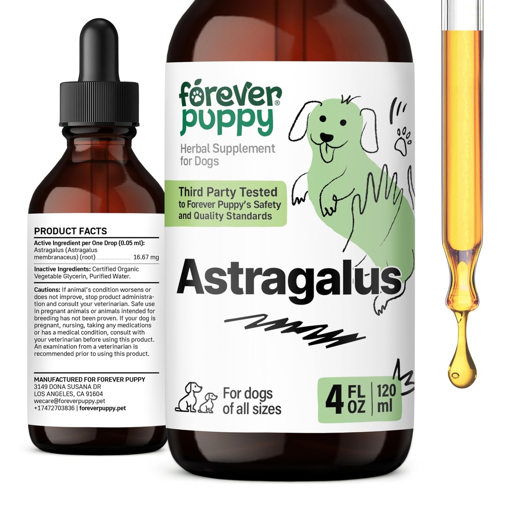 Astragalus Root Drops for Dogs - Immune Support - 4 fl oz | Alcohol-free, no added sugar, no artificial additives, flavors or colors; pure formula