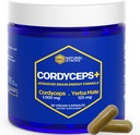 Cordyceps Mushroom Capsules - 1000mg Cordyceps Extract & 125mg Yerba Mate Extract - 100% Fruiting Body Mushroom Supplement - Supports Brain Energy & Cognitive Performance - 60 Yerba Mate Capsules