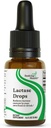 Seeking Health Lactase Drops - Liquid Supplement with Lactase Enzyme for Dairy Intolerance Support - Intolerance Support for Digestion - Lactase Enzyme Supplement - 0.50 Fl oz, 52 Servings
