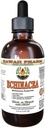 Echinacea Alcohol-Free Liquid Extract, Organic Echinacea (Echinacea Purpurea) Dried Herb Glycerite Hawaii Pharm Natural Herbal Supplement 4 oz