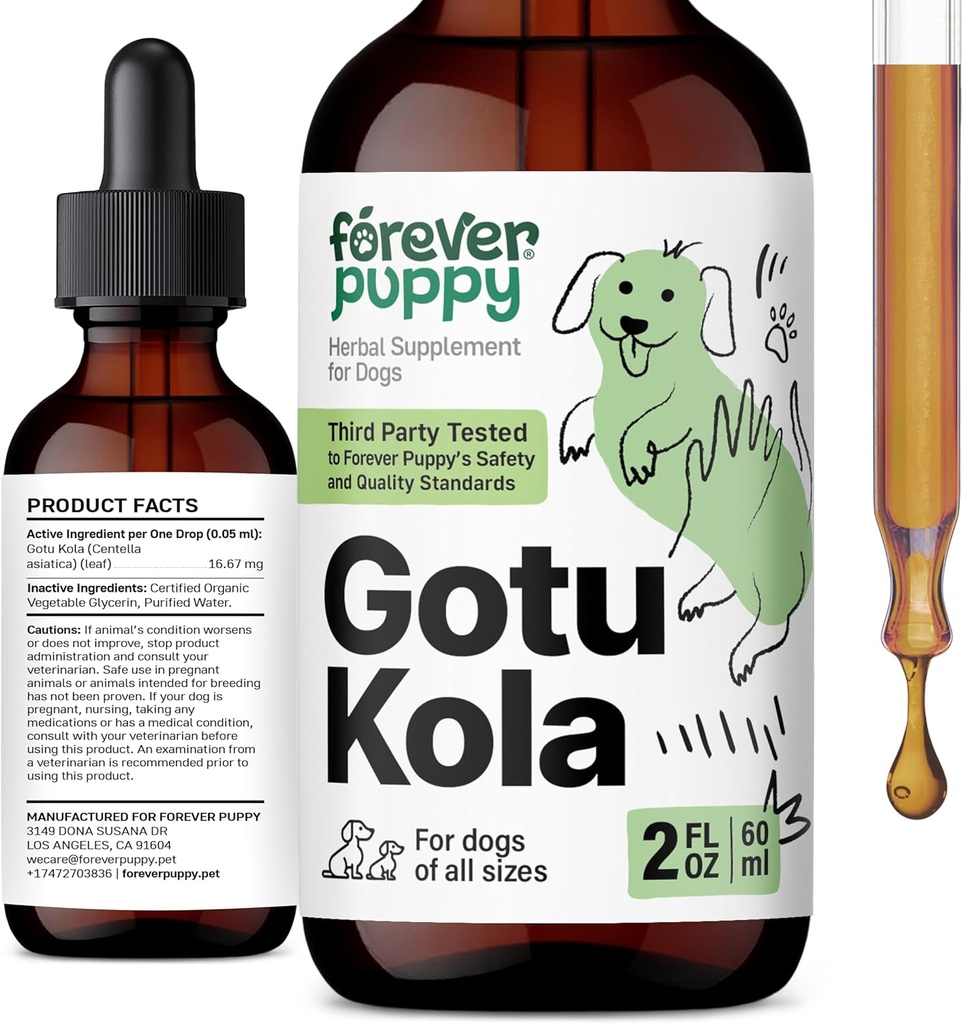 Forever Puppy Gotu Kola Drops for Dogs - Centella Asiatica & Gotu Kola Extract for Brain Health Support - Liquid Brain Supplement for Dogs of All Breeds & Sizes - 2 oz