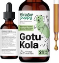 Forever Puppy Gotu Kola Drops for Dogs - Centella Asiatica & Gotu Kola Extract for Brain Health Support - Liquid Brain Supplement for Dogs of All Breeds & Sizes - 2 oz