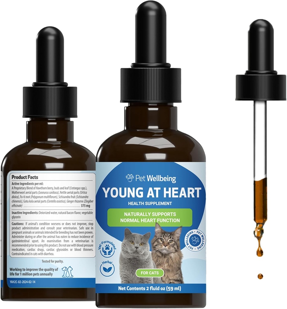 Pet Wellbeing Young at Heart for Cats - Vet-Formulated - Heart Health, Circulatory & Cardiovascular System, Hawthorn, Motherwort, Schisandra - Herbal Supplement 2 oz (59 ml)