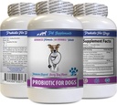 Dog Digestive enzymes and probiotics - PROBIOTICS for Dogs - Healthy Gut - Stop Gas Diarrhea and Bad Breath - Digestive Boost - Dog probiotics Powder - 1 Bottle (60 Treats)