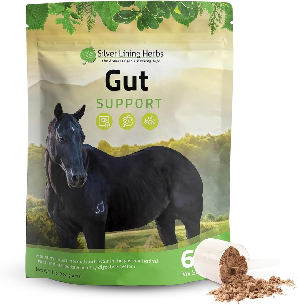Silver Lining Herbs Gut Support Horse Supplements - Gut Health & Digestive Supplement for Horses - Potent Digestion Support Herbal Blend of Licorice, Slippery Elm & More - 1 lb 60-Day Supply