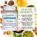 Transformation Enzymes Lypo Enzyme Supplement with Herbs and Vitamins for Digestive Health, 60 Caps