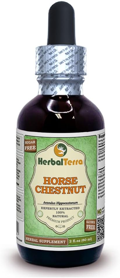 Horse Chestnut (Aesculus Hippocastanum) Glycerite, Organic Dried Nuts Alcohol-FREE Liquid Extract (Brand name: HerbalTerra, Proudly made in USA) 2 fl.oz (60 ml)