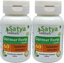 Gurmar Forte Capsules 500 mg. 60 Veg. Capsule | Gudmar (Gymnema Sylvestre) Extract Capsules for Men and women | Ayurvedic Herbal Supplement/Remedies | 10:1 Forte (2 Bottles of 60 Capsules)
